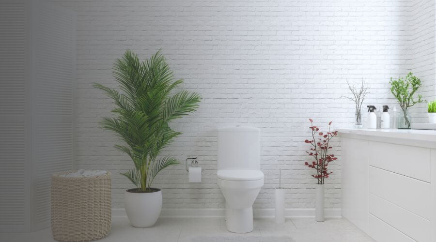 Why choose Construction Portable Toilets​ for portable toilet for construction in Santa Ana